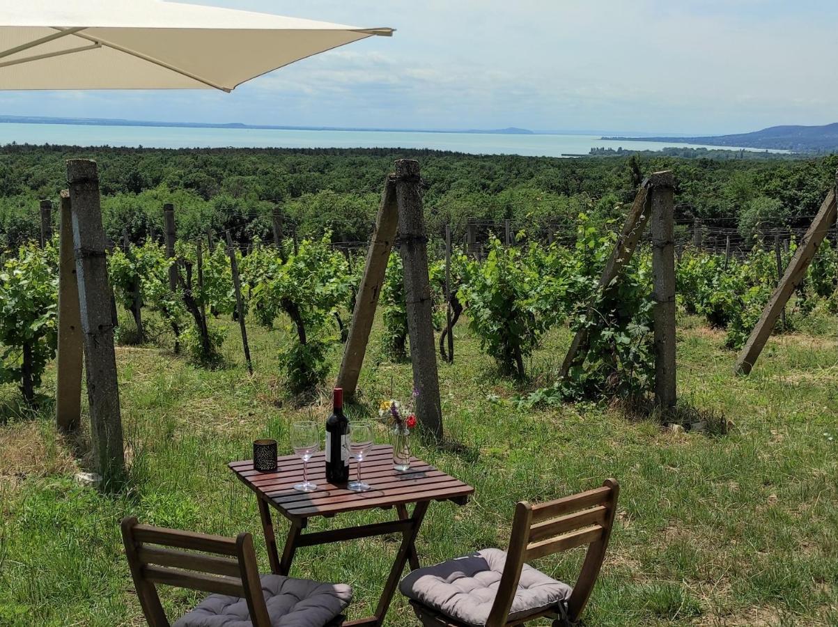 Napraszállás Vendégház Balatonakali Kültér fotó