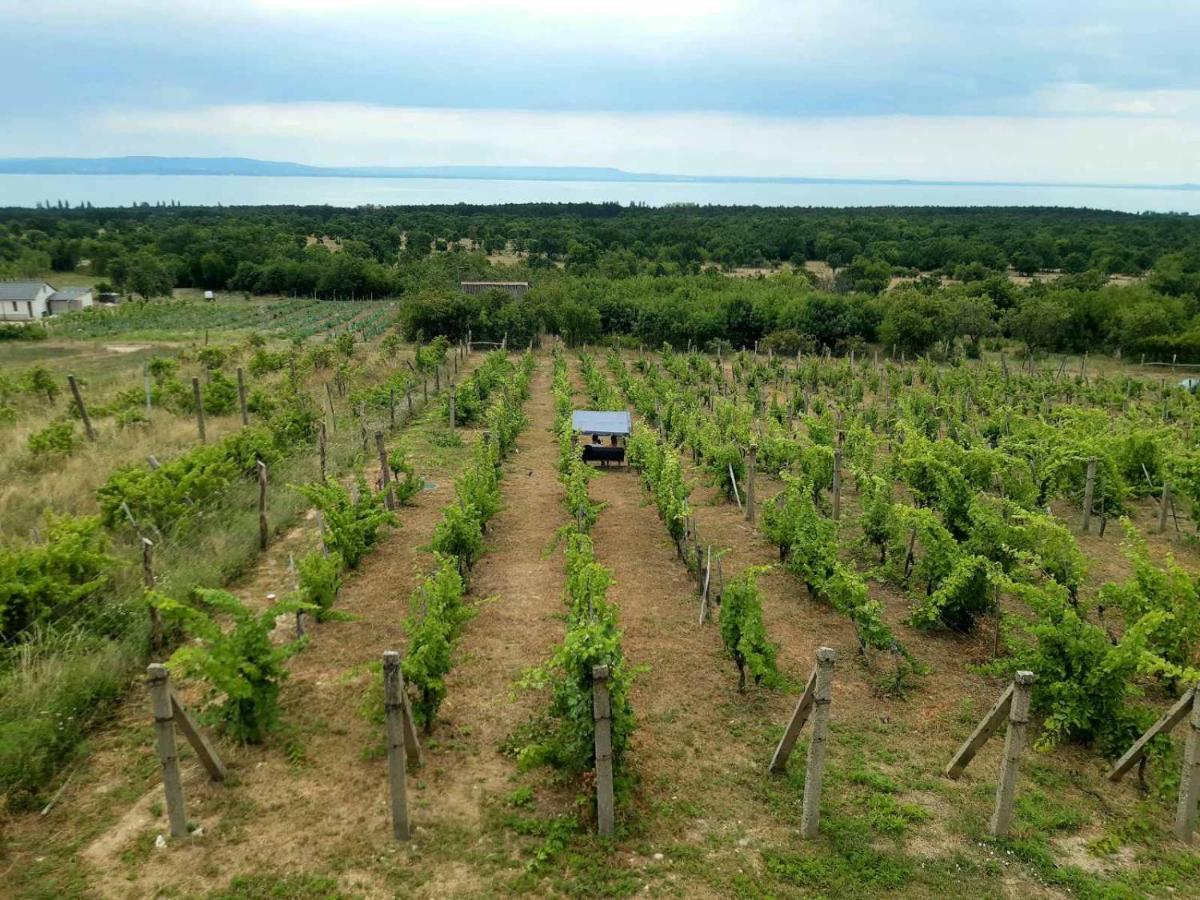 Napraszállás Vendégház Balatonakali Kültér fotó