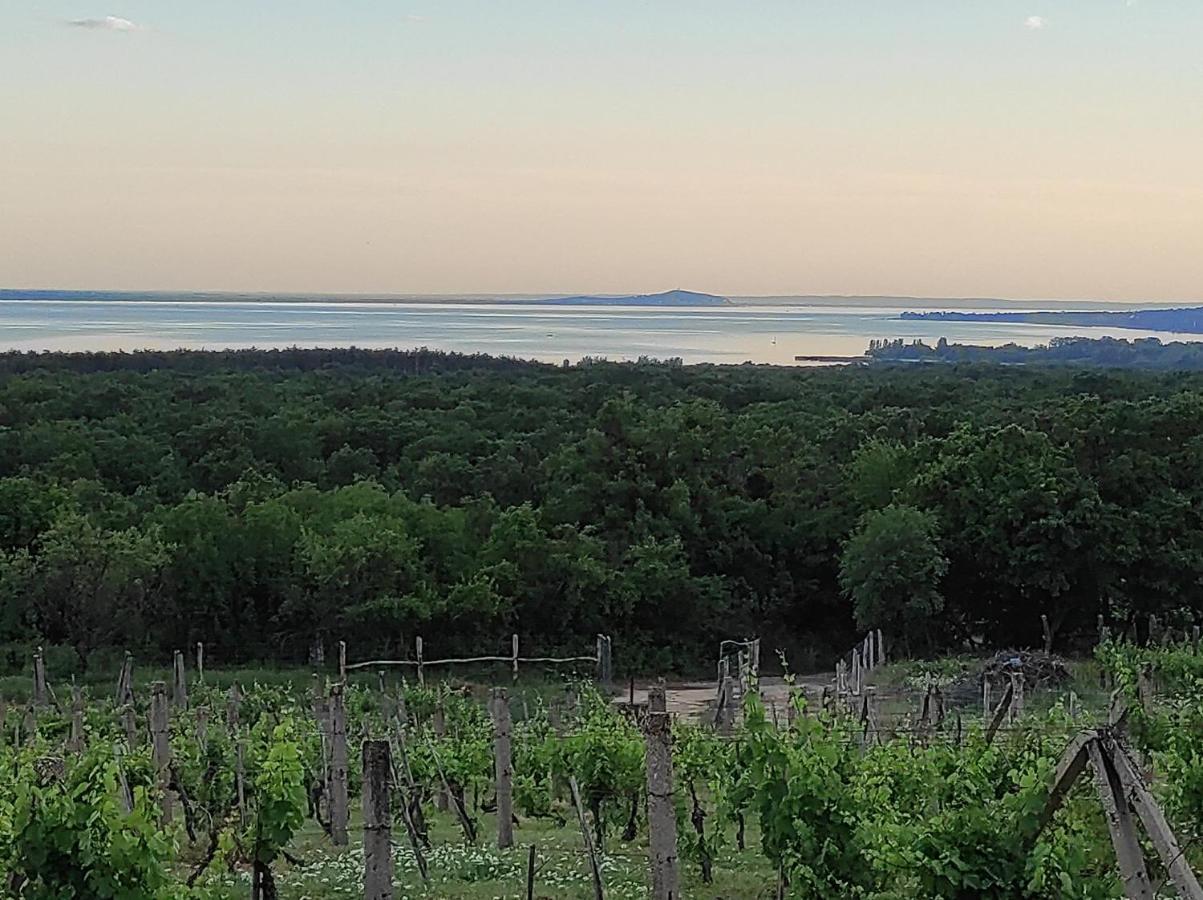 Napraszállás Vendégház Balatonakali Kültér fotó