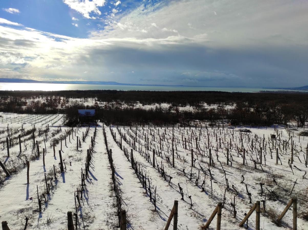 Napraszállás Vendégház Balatonakali Kültér fotó